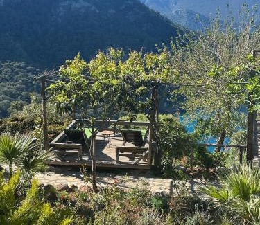 Kabak Valley Resort | Olive Garden Kabak