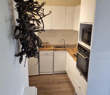 Frankston Apartment | Olivers Hill apartment