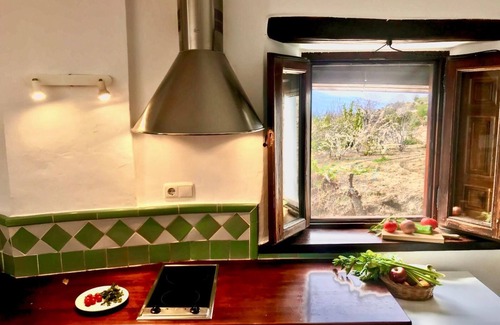 Pitres Apartment | One bedroom apartment with terrace (2 guests)