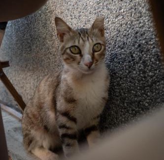 Liuqiu Hostel | ooMii Hostel