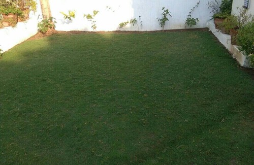 Ahmedabad House | Open house for all who come around the globe