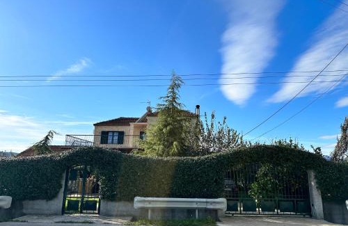 Arta Villa | Orange Lemon Garden