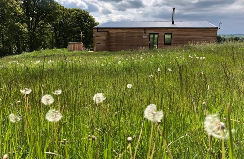 Kelso Ski Chalet | Orchard Hideaway