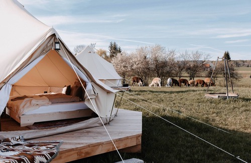Ziemetshausen Cabin | Oriental Zelt @ Lebenshofalpakas