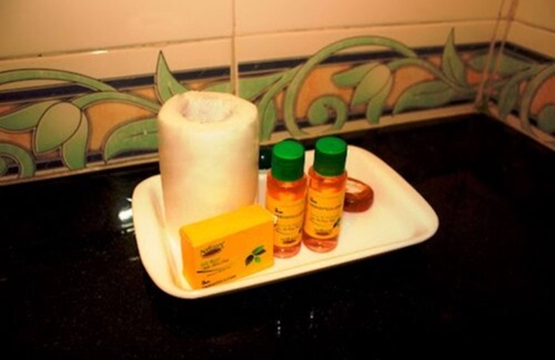 Srinagar Colony Hotel | Oriva Vinflora Residency