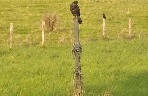 Wittem Bed & Breakfast | Os Heem