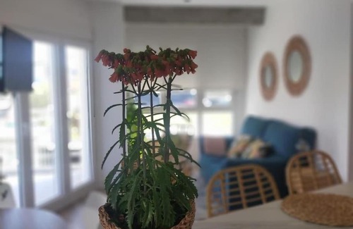 Carballo Apartment | Ospede Luscofusco Carballo-Costa da Morte