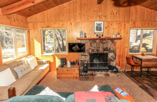 Fawnskin House | Owl Cabin - Sierra style cabin located on a quiet road in Fawnskin and backs up to National Forest!
