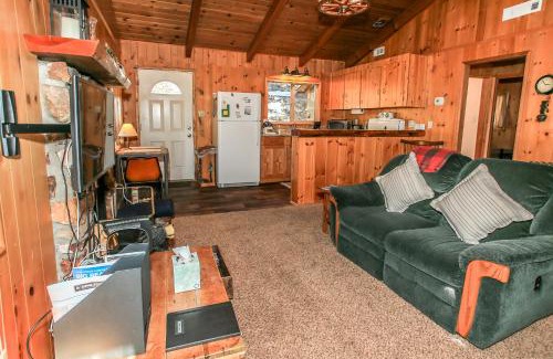 Fawnskin House | Owl Cabin - Sierra style cabin located on a quiet road in Fawnskin and backs up to National Forest!