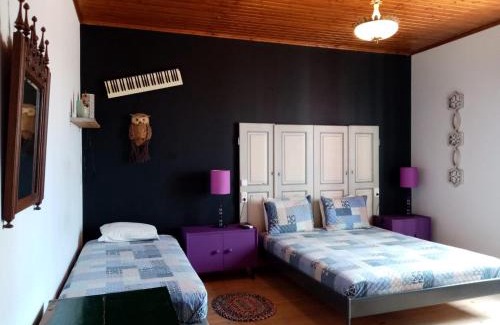 Ferreira do Alentejo House | Pátio das Andorinhas