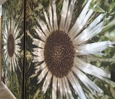 Bialka Tatrzanska Apartment | Pańska Polana Apartamenty - SALA ZABAW, przystanek SKIBUSa przed bramą