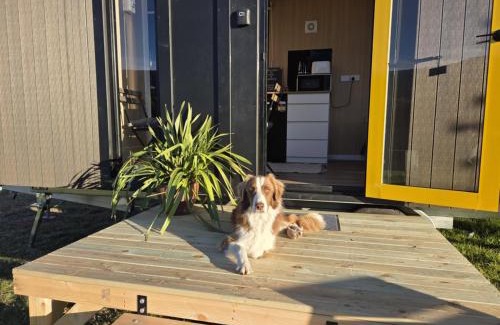 Wesburn House | Paddock & Peak by Tiny Away