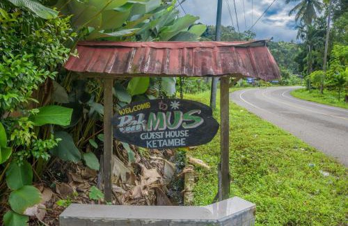 Gayo Lues House | Pak Mus Guest House Ketambe - 0813-7072-1793