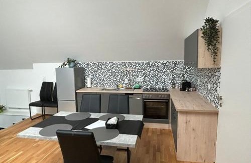 Bruck an der Leitha Apartment | Paky Appartements 00323