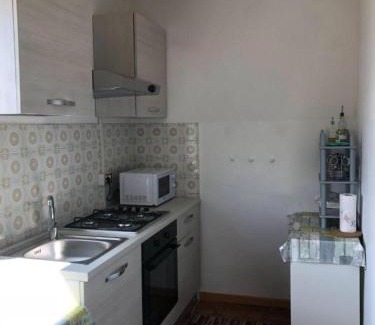 Offida House | Palme e vigne