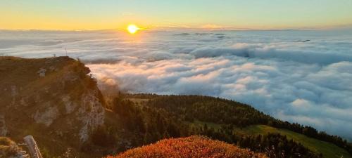 Laßnitz bei Murau Apartment | Panorama Apartment Bauernhof Mandl