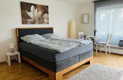 Neuravensburg Apartment | Panorama-Haus Appartement Pfänder