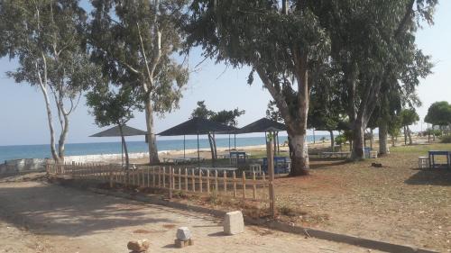 Limonlu Hotel | Paperon Butik Otel