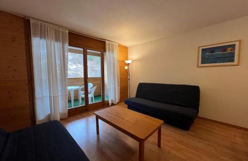 Vionnaz Apartment | Parking plus terrasse pour 4 personnes au ski