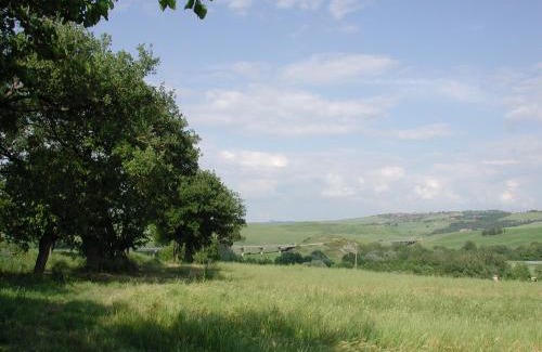 Torrenieri Apartment | Passaggio in Val d' Orcia