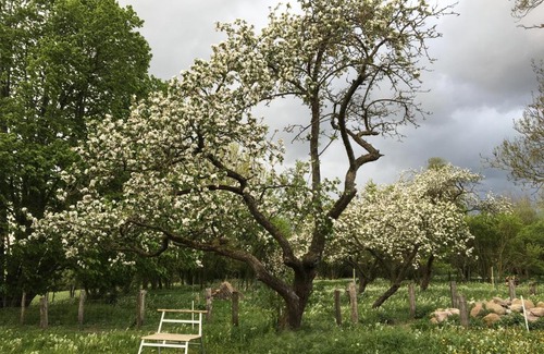 Eichhorst House | Pasterhof Eichhorst