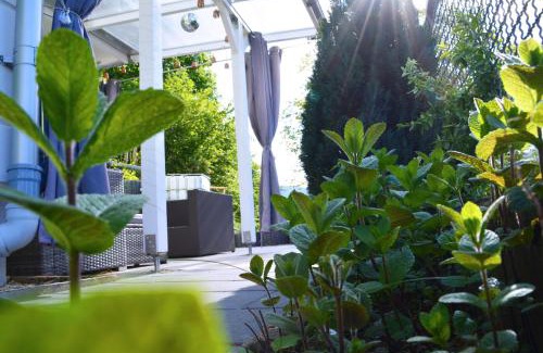 Alpirsbach Apartment | Pazdur Alpirsbach