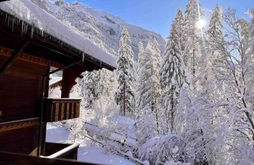 Blausee Apartment | Peacefull Mountains View