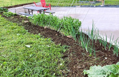 Farrandsville RV Rental | Pear Tree Cove---One of a kind private RV lot---Beautiful countryside!