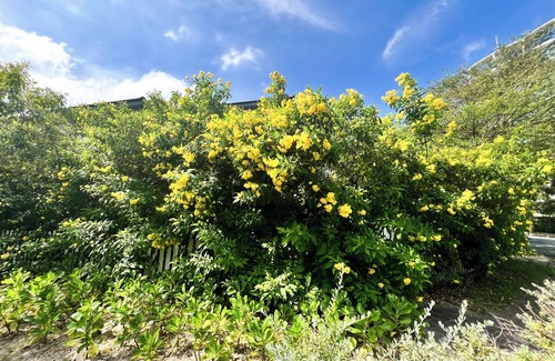 Cua Lap Villa | Pema SonaSea Villa - Long Beach Phu Quoc