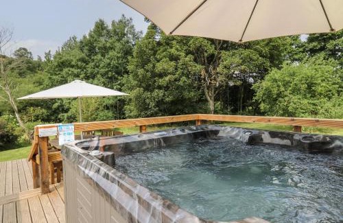 Llandrindod Wells House | Penarth