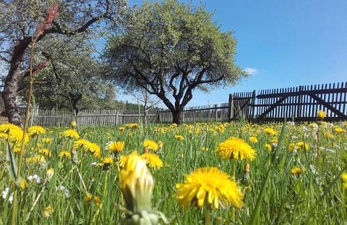 Dorflas Apartment | Pension 'Am Vogelherd'