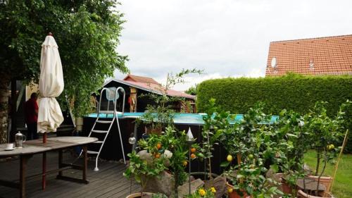 Lindenberg Apartment | Pension Limone Ferienwohnung 1