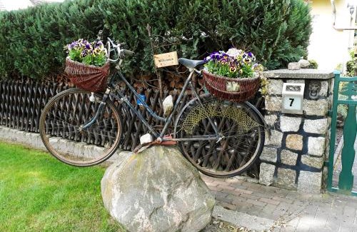 Reitwein Apartment | Pension Zum weißen Hirsch