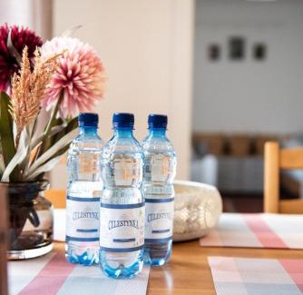 Rymanow-Zdroj House | Pensjonat Kaja