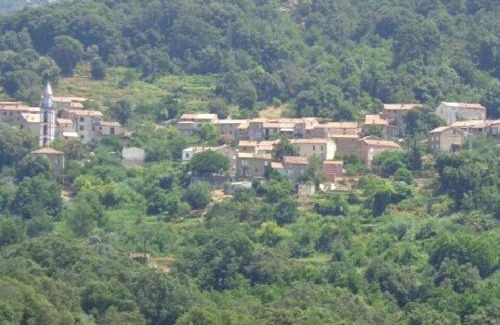 Peri House | Peri village
