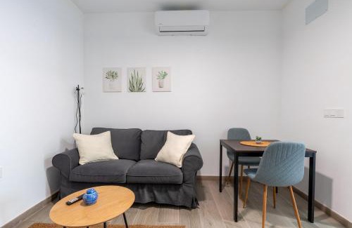 Los Carteros Apartment | Pesquera Suites