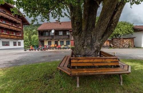 Ramsau am Dachstein House | Peterbauerhof