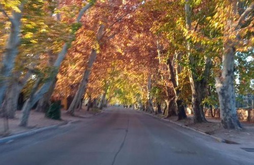 Maipu House | Petit Chateau J&SR