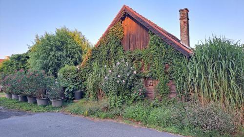 Welten House | Petite Noel