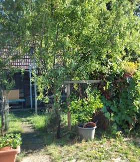 Welten House | Petite Noel