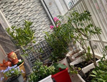 Dat Do House | Phúc Long Hiwinwin