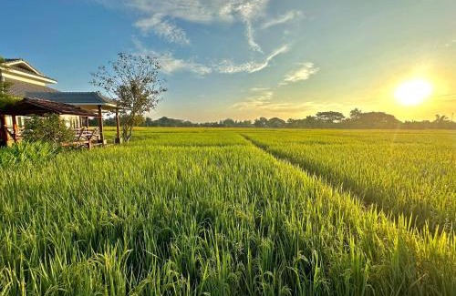 San Pa Thong Resort | Phanumas Resort Chiang Mai