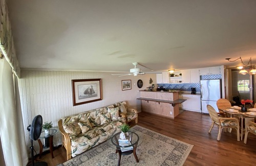 Punaluu Condo | Pheapie Beach Retreat, Beachfront, W/Air Conditioner, Large Lanai