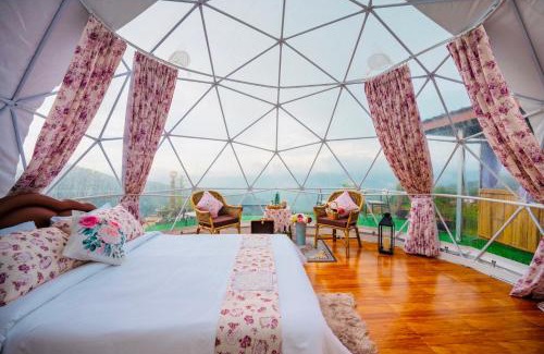 Tap Tao Hotel | Phuchifa Sky Camp ร้อยรักภูชี้ฟ้า