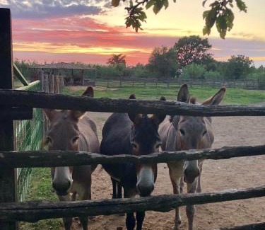 Pitigliano House | Pian De' Somari