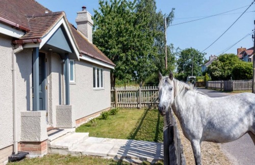 New Forest District Cottage | Picture perfect cottage 30 minute walk from wild beach or 10 minutes walk to pub