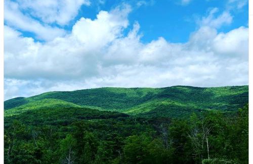 Petersburgh Other | Piebald Mountain Pet Friendly Tents, Petersburg, New York