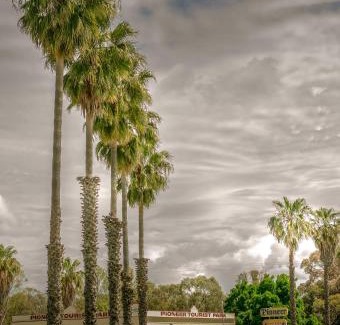 Deniliquin Other | Pioneer Tourist Park