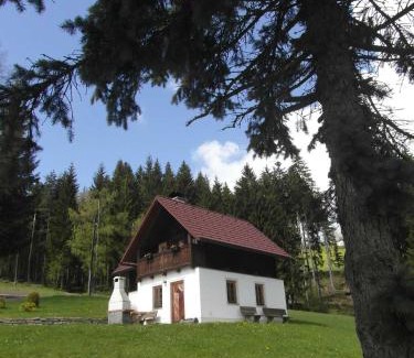 Sankt Kathrein am Hauenstein House | Pircherhof - Urlaub und Erholung im Troadkost'n