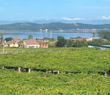 Coiron Apartment | Piso acogedor Rías Baixas